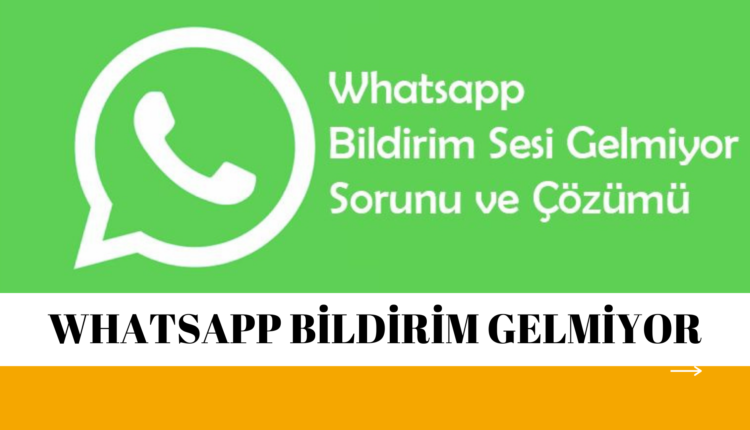 whatsapp-bildirimin-sesi-gelmiyor