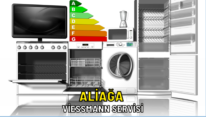 viesman servis