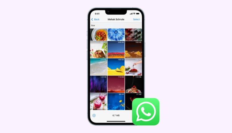 iPhone'da WhatsApp Medyası Nasıl Silinir