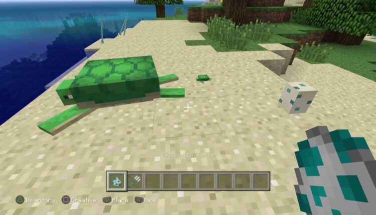 Minecraft'ta Kaplumbağalar Nasıl Üretilir?