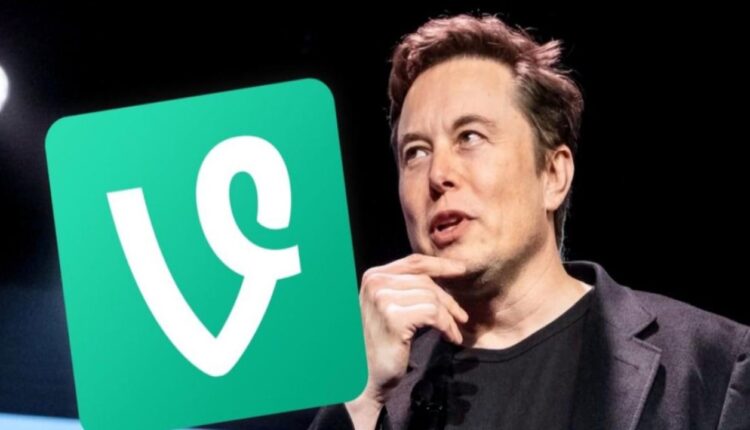 Elon Musk Vine'ı geri getirmeyi düşünüyor